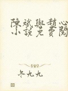 陈斌与赵心媚的小说免费阅读