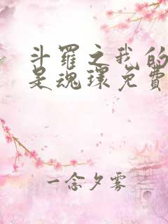 斗罗之我的武魂是魂环免费阅读