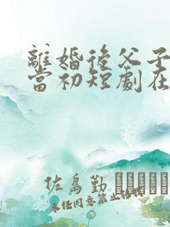 离婚后父子悔不当初短剧在线免费看