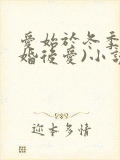 爱始于冬季(先婚后爱)小说全文免费阅