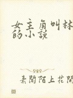 女主角叫林辛言的小说