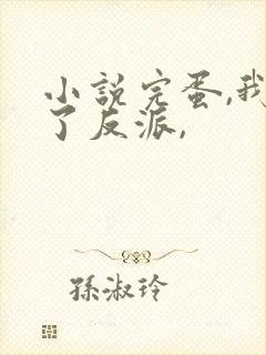 小说完蛋,我成了反派,