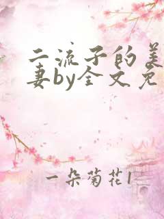 二流子的美貌娇妻by全文免费阅读小说