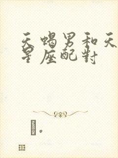 天蝎男和天秤女星座配对