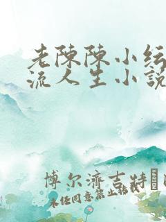 老陈陈小纭的风流人生小说免费阅读