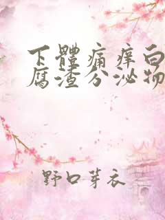 下体痛痒白色豆腐渣分泌物