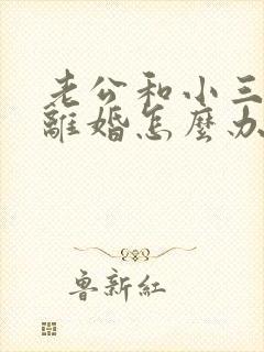 老公和小三逼我离婚怎么办