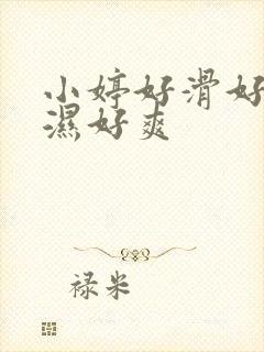 小婷好滑好紧好湿好爽