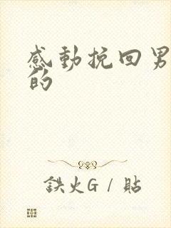 感动挽回男朋友的