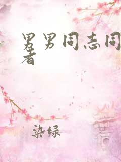 男男同志同性恋者