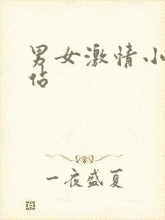 男女激情小说网站