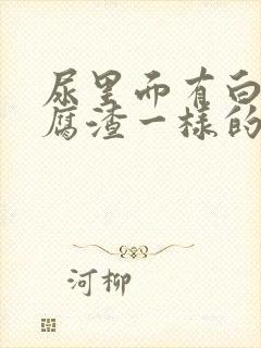 尿里面有白色豆腐渣一样的东西