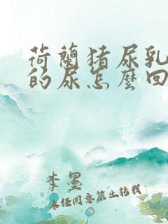 荷兰猪尿乳白色的尿怎么回事