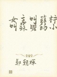 女主叫薛柠男主叫苏瞻的小说