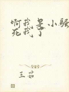 啊我是小骚货操死我了