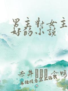 男主对女主特别好的小说