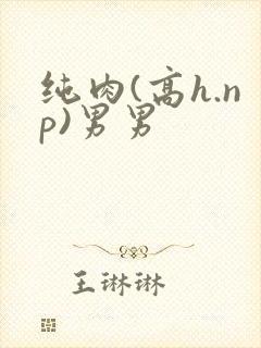 纯肉(高h.np)男男