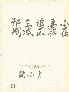 邪王追妻小说无删减正版在线阅读