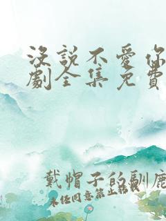 没说不爱你电视剧全集免费