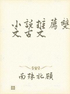 小说推荐双男主文古文