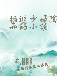 插进少妇阴道里面的小说