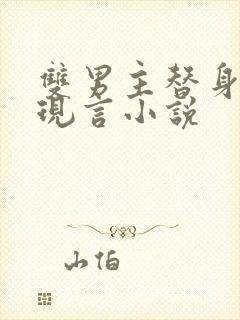 双男主替身虐文现言小说