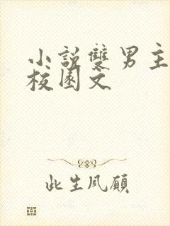 小说双男主推荐校园文