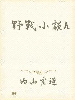 野战小说h