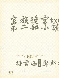 家族后宫txt第二部小说免费阅读