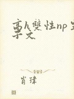 高h双性np生子文