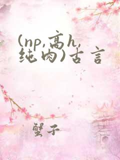 (np,高h,纯肉)古言