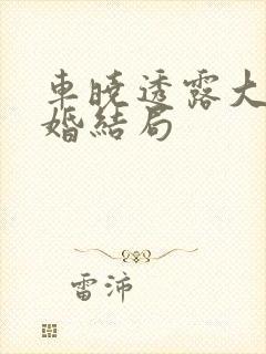 车晓透露大男当婚结局