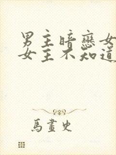 男主暗恋女主,女主不知道的小说