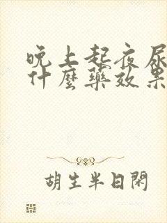 晚上起夜尿多吃什么药效果更好