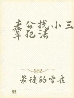 老公找小三算不算犯法