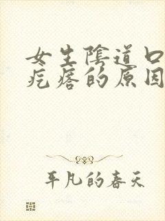 女生阴道口有小疙瘩的原因