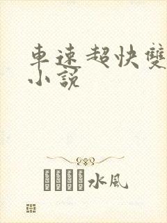 车速超快双男主小说