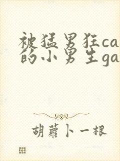 被猛男狂cao的小男生gay