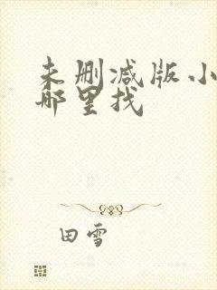 未删减版小说去哪里找