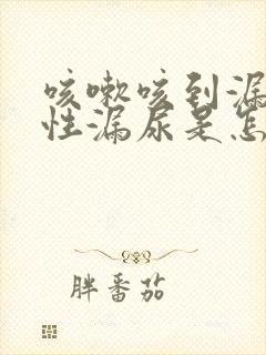 咳嗽咳到漏尿女性漏尿是怎么回事