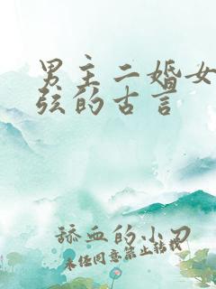 男主二婚女主续弦的古言