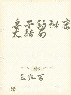 妻子的秘密往事大结局