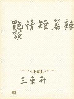 艳情短篇辣文小说