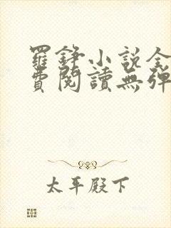 罗铮小说全文免费阅读无弹窗