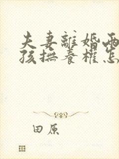 夫妻离婚两个小孩抚养权怎么判定