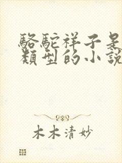 骆驼祥子是什么类型的小说