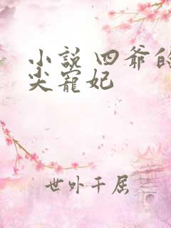 小说 四爷的心尖宠妃