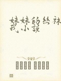 妹妹的丝袜调教我小说