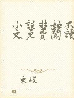 小说非她不可全文免费阅读