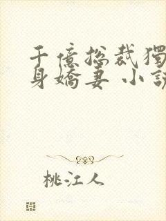 千亿总裁独宠替身娇妻 小说